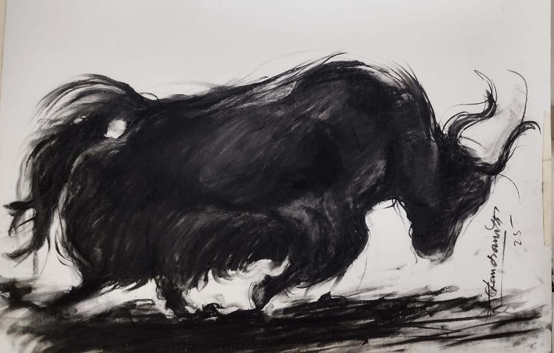 18. Yak Ii 24X30Inch Charcoal On 300 Gsm Paper