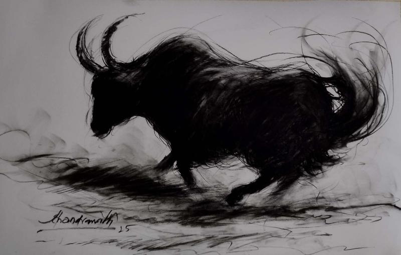 19. Yak Ii Charcoal On 300 Gsm Paper